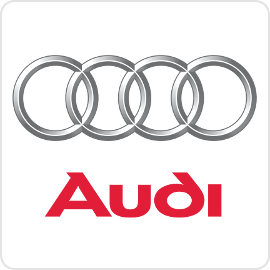 Audi Runlock Systems