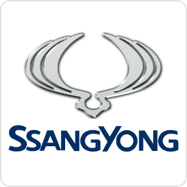 SsangYong Speed Limiters